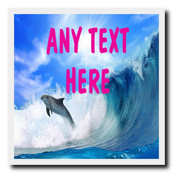 Dolphin Coaster