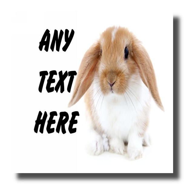 Bunny Rabbit Coaster