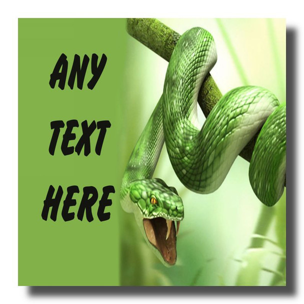 Green Snake Coaster