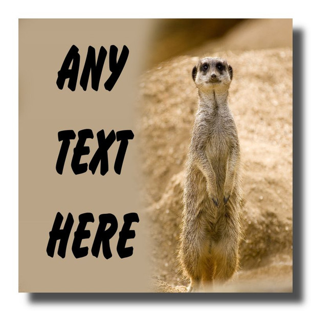 Meerkat Coaster