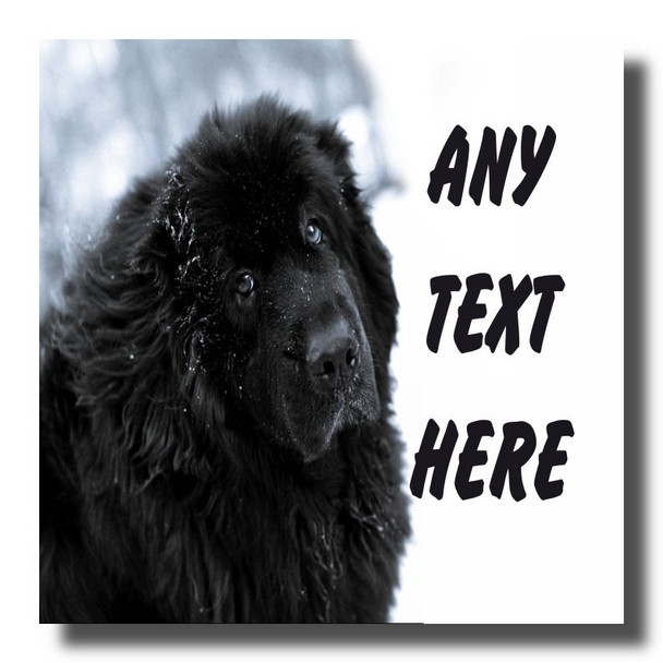 Newfoundland Dog Coaster