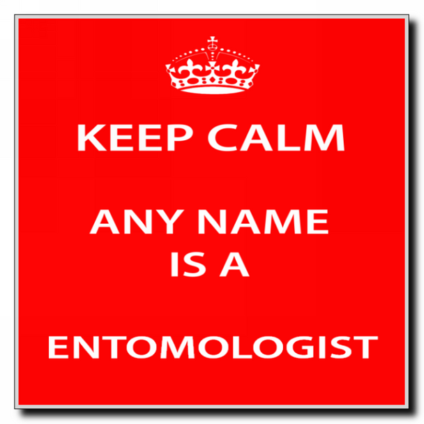 Entomologist Keep Calm Coaster