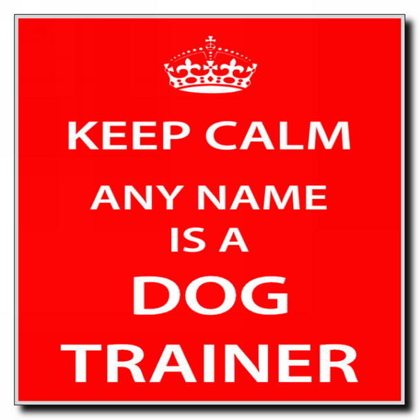 Dog Trainer Keep Calm Coaster