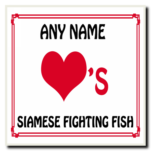 Love Heart Siamese Fighting Fish Coaster