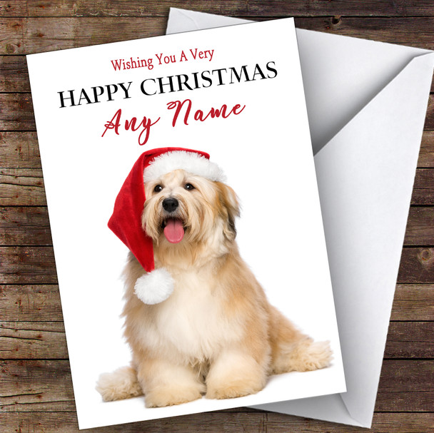 Bichon Havanese Sitting Dog Animal Customised Christmas Card