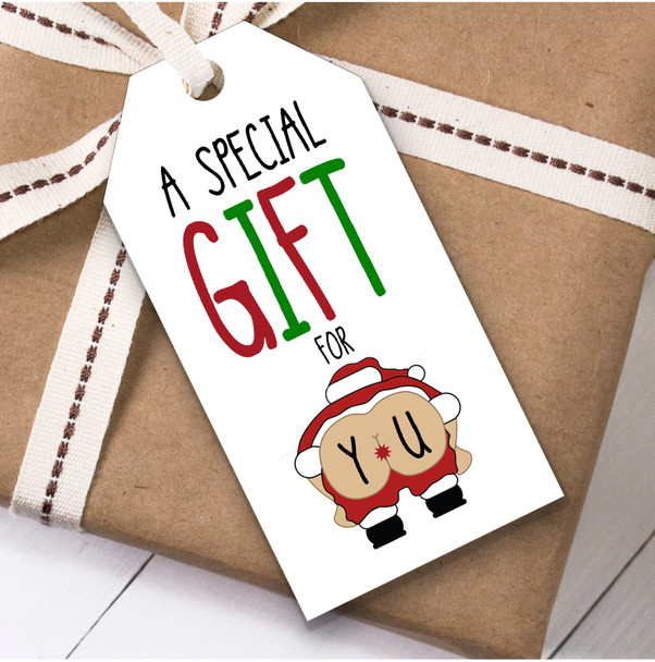 Funny Rude Special Gift For You Christmas Gift Tags