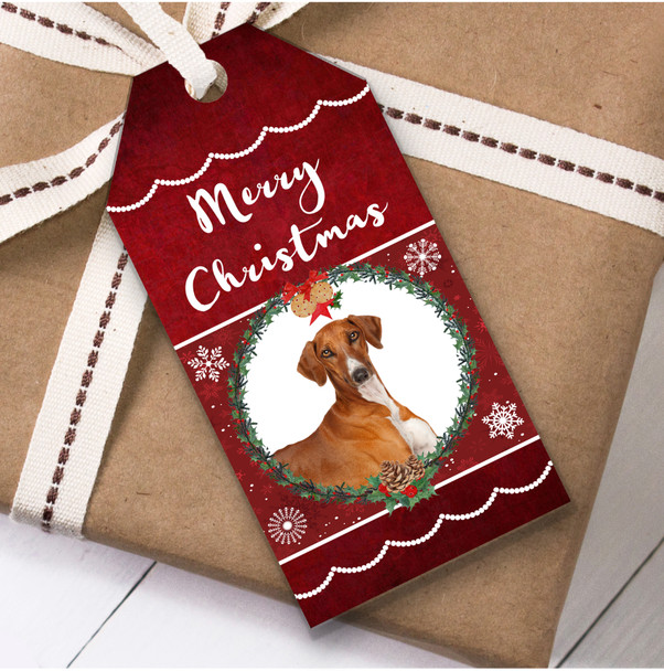Azawakh Dog Christmas Gift Tags
