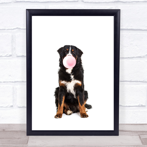 Dog Bernese Mountain Bubblegum Wall Art Print