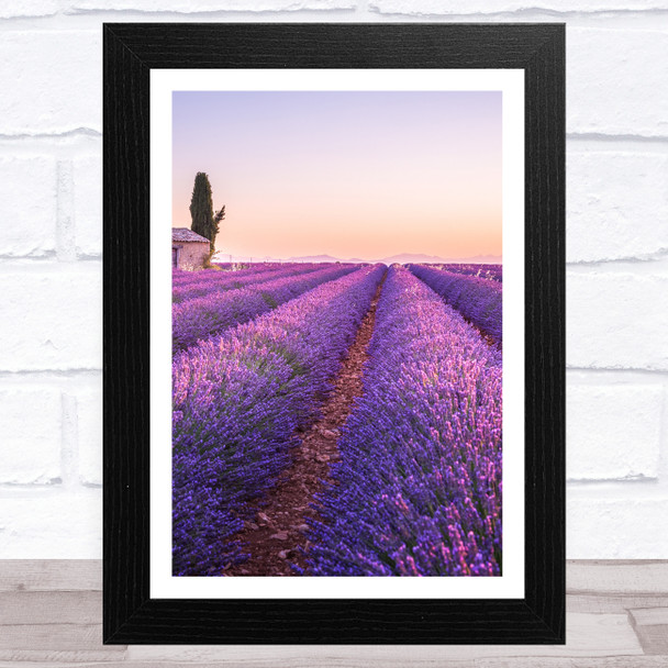 Lavender Fields Collection Design 5 Home Wall Art Print
