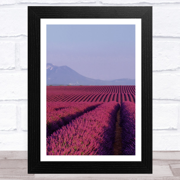 Lavender Fields Collection Design 6 Home Wall Art Print