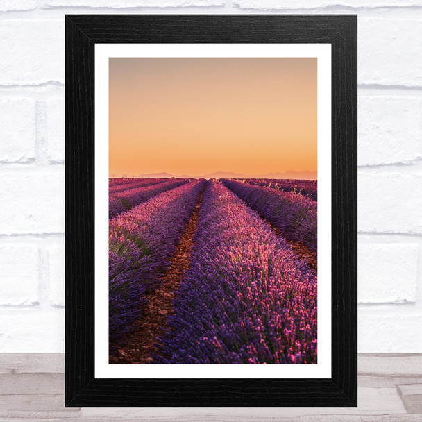 Lavender Fields Collection Design 7 Home Wall Art Print