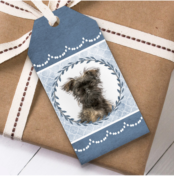 Affenpinscher Dog Blue Birthday Present Favor Gift Tags