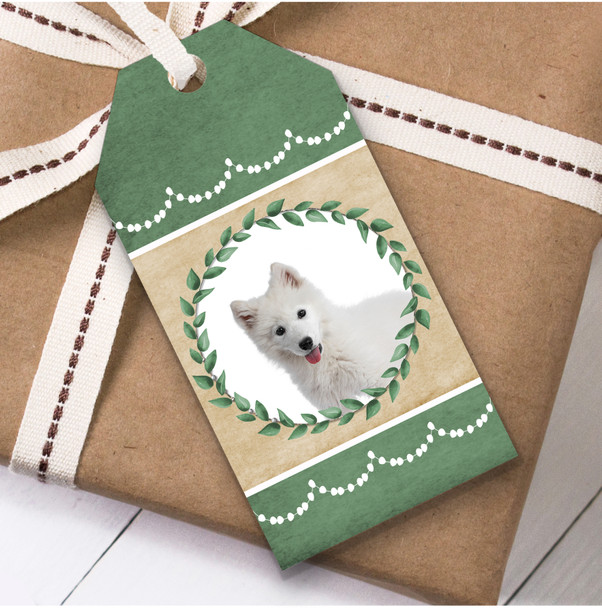 Samoyed Dog Green Birthday Present Favor Gift Tags