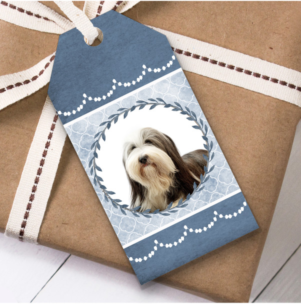 Bearded Collie Dog Blue Birthday Present Favor Gift Tags