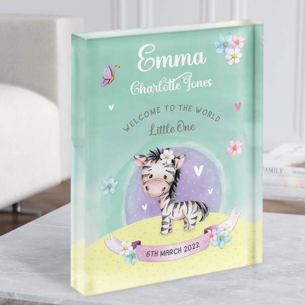 New Baby Birth Details New-born Nursery Christening Zebra Acrylic Block
