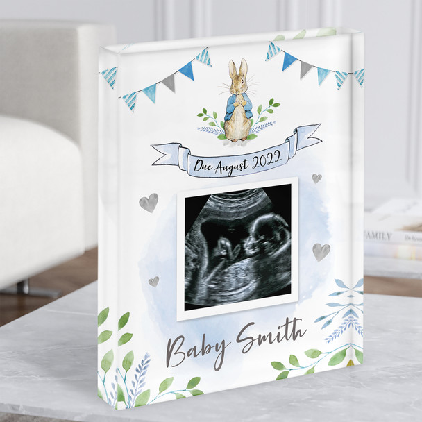 Peter Rabbit Baby Boy Blue Pregnancy Due Date Scan Picture Photo Acrylic Block Peter Rabbit Baby Boy Blue Pregnancy Due Date Scan Picture Photo Acrylic Block