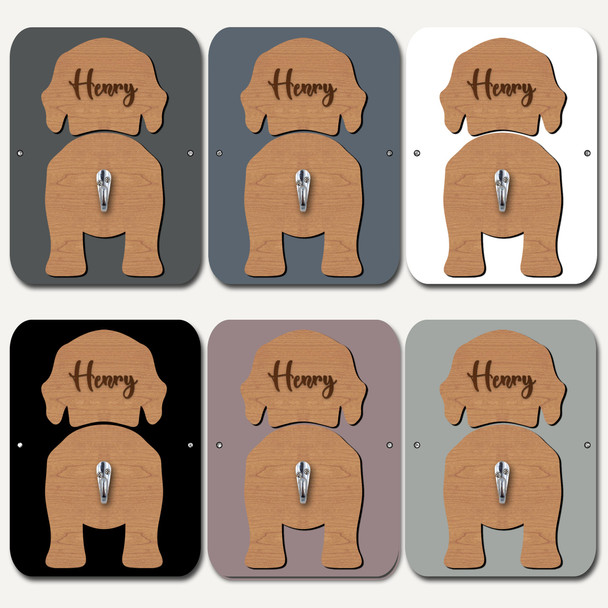 Wirehaired Vizsla Dog Lead Holder Leash Hanger Hook Any Colour Personalised Gift