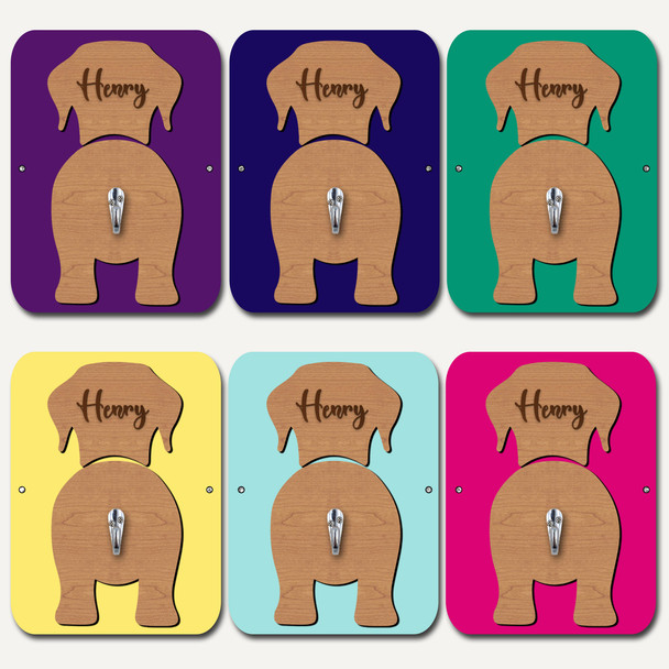 Labrador Dog Lead Holder Leash Hanger Hook Any Colour Personalised Gift