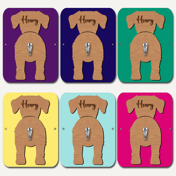 Borador Dog Lead Holder Leash Hanger Hook Any Colour Personalised Gift