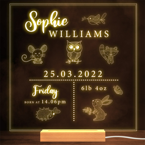 Baby Birth Info Forest Animals Special Dates Personalised Gift Lamp Night Light