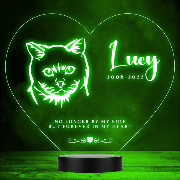 Cat Pet Loss Memorial Forever In My 8 Personalised Gift Colour Night Light