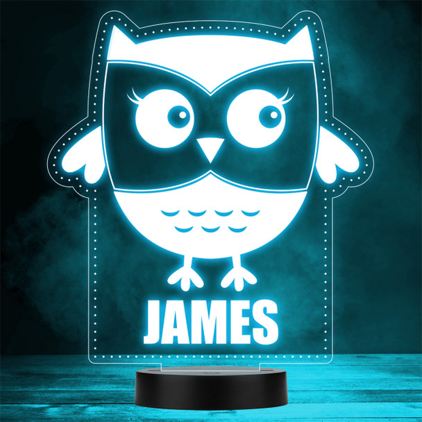 Cute Owl Bird Pretty Animal Lover LED Personalised Gift Night Light