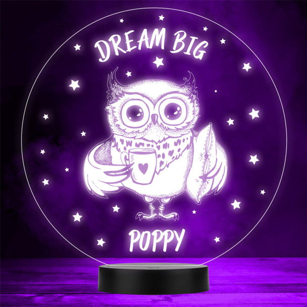 Owl In Glasses With Mug Stars Dream Big LED Personalised Gift Night Light