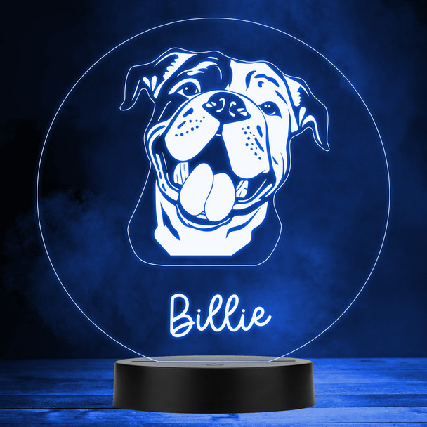 Continental Bulldog Dog Pet Multicolour Personalised Gift LED Lamp Night Light