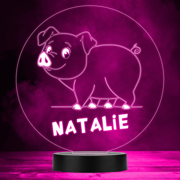Cute Pig Farm Animal Colour Changing Personalised Gift LED Lamp Night Light