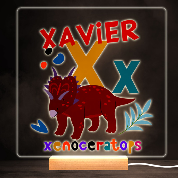 X Dinosaur Alphabet Colourful Square Personalised Gift LED Lamp Night Light