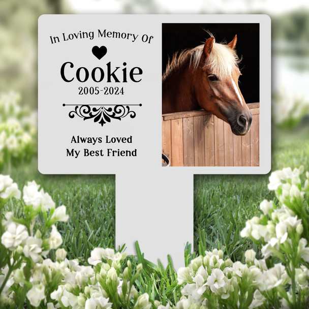 Any Pet Photo Frame Pet Grey Remembrance Grave Garden Plaque Memorial Stake