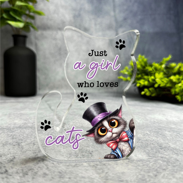 Funny Gift For Cat Lover Girl Who Loves Cats Keepsake Plaque Ornament Present
