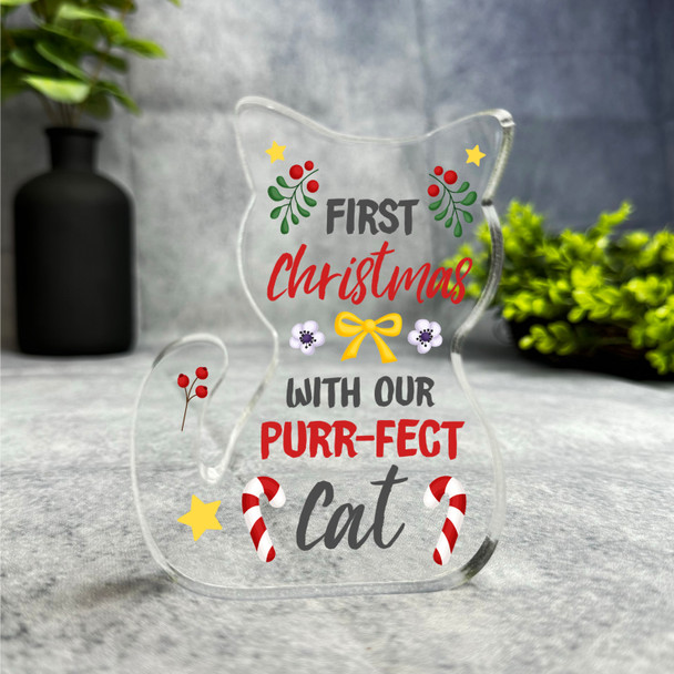 First Christmas With Our Cat Gift For Cat Lover Keepsake Plaque Decoration