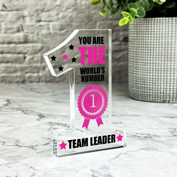 The World's No.1 Team Leader Pink Gift Number One Award Keepsake Plaque Ornament The World's No.1 Team Leader Pink Gift Number One Award Keepsake Plaque Ornament