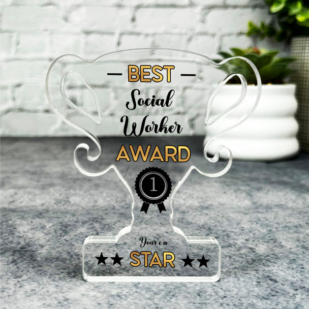 Gift For Best Social Worker No 1 Rosette Trophy Keepsake Plaque Ornament Present Gift For Best Social Worker No 1 Rosette Trophy Keepsake Plaque Ornament Present