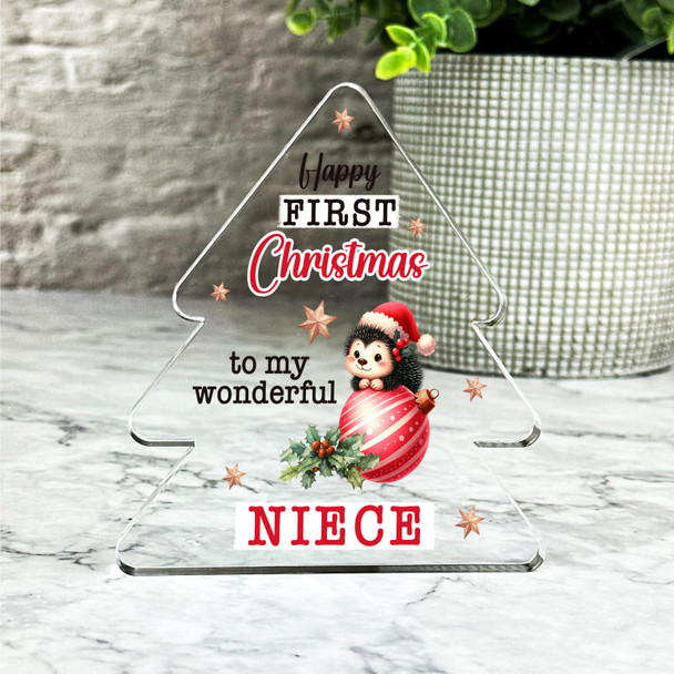 Gift For Niece First Christmas Baby Hedgehog Bauble Xmas Tree Keepsake Plaque