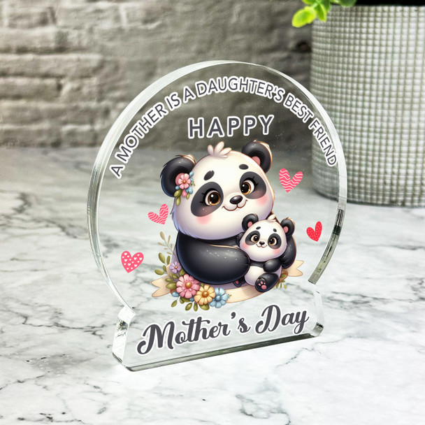 Mother's Day Gift For Mum From Daughter Panda Keepsake Snowglobe Ornament Plaque
