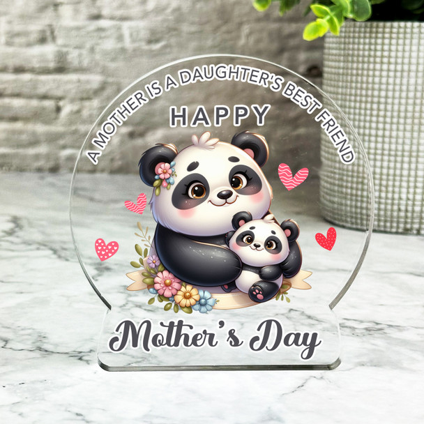 Mother's Day Gift For Mum From Daughter Panda Keepsake Snowglobe Ornament Plaque