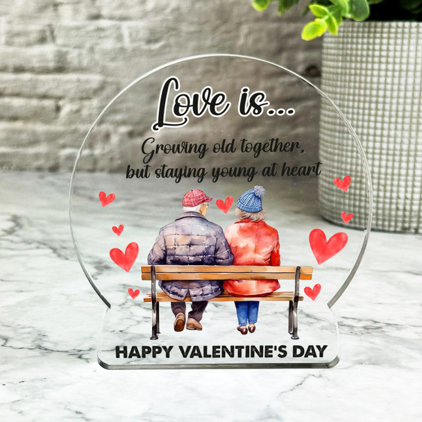 Valentine's Day Gift Elderly Couple On Bench Keepsake Snowglobe Ornament Plaque