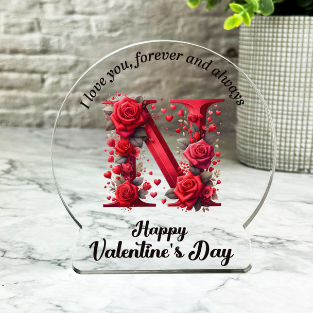 Valentine's Day Gift For Initial N Red Roses Keepsake Snowglobe Ornament Plaque