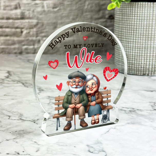 Valentine's Day Gift For Wife Elderly Couple Keepsake Snowglobe Ornament Plaque