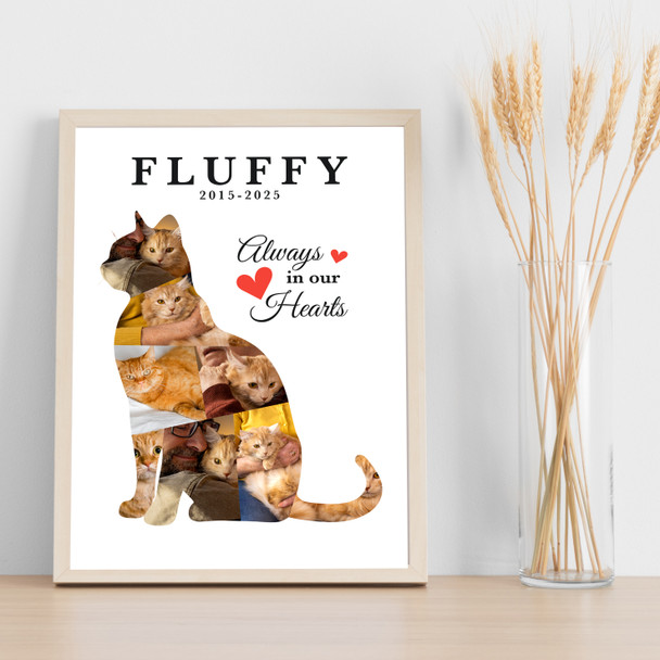 Photo Collage Pets Memorial Custom Gift For Anyone 8-Photo Cat Print Or Canvas