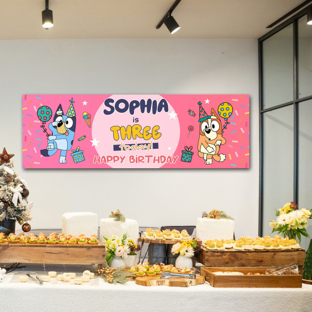 Personalised Party Banner For Kids Birthday Pink Girls Bluey Any Age