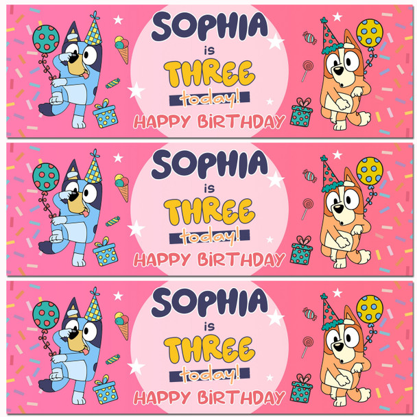 Personalised Party Banner For Kids Birthday Pink Girls Bluey Any Age