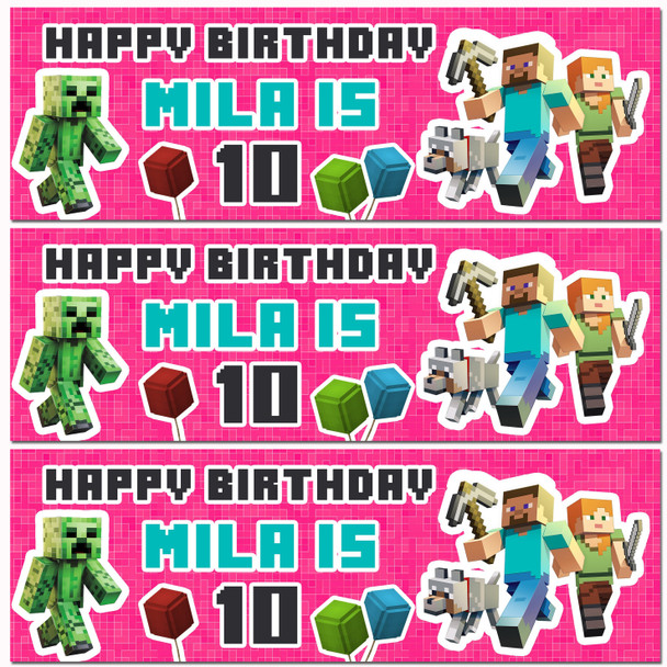 Personalised Party Banner For Kids Birthday Girls Minecraft Pink Any Age