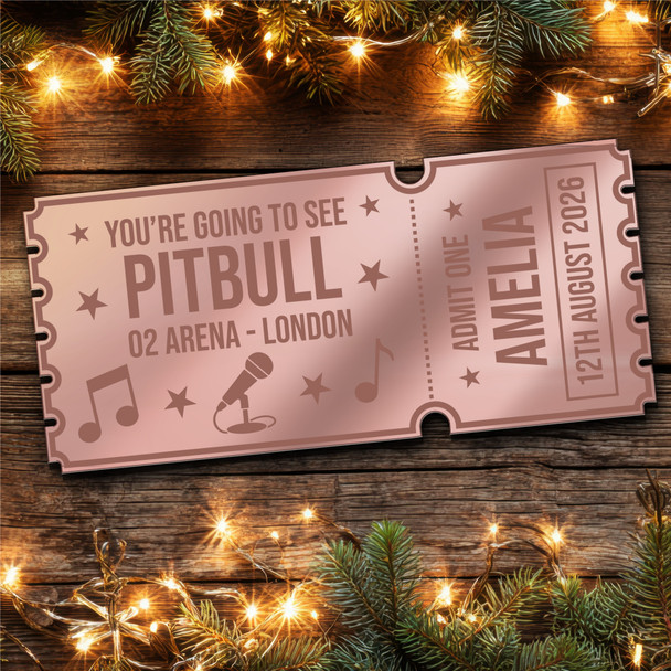 Red Mirror Acrylic Ticket Pitbull Concert Personalised Any Text Voucher