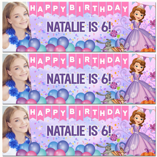 Personalised Party Banner For Kids Birthday Disney Princess Sophia