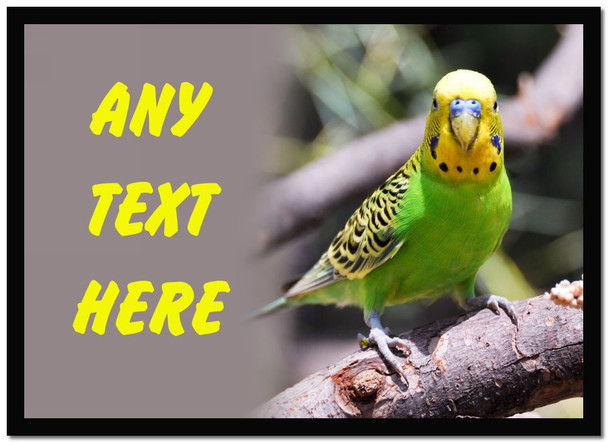 Parakeet Placemat