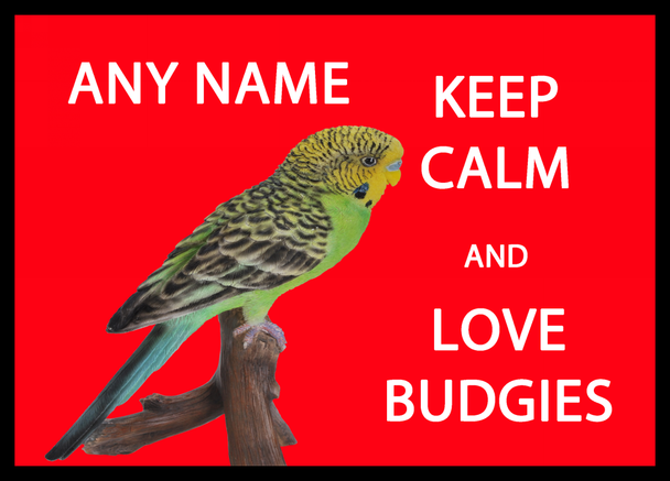 Keep Calm And Love Budgies Placemat