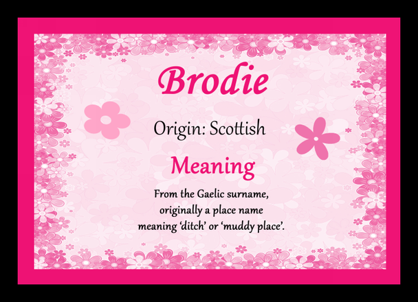 Brodie Name Meaning Placemat
